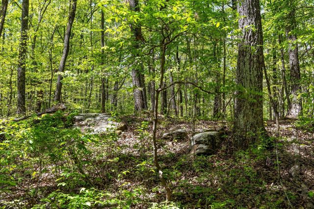 0 Deepwoods Road, Sewanee, TN 37375