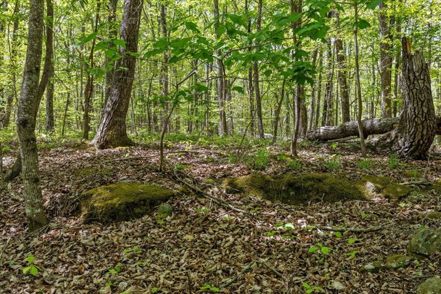 0 Deepwoods Road, Sewanee, TN 37375