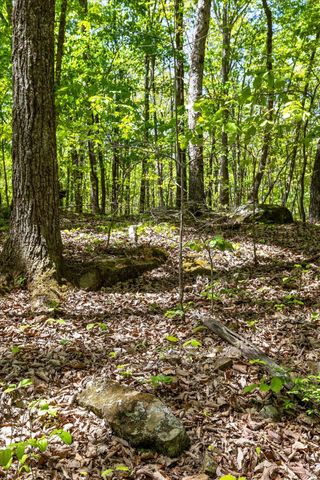 0 Deepwoods Road, Sewanee, TN 37375