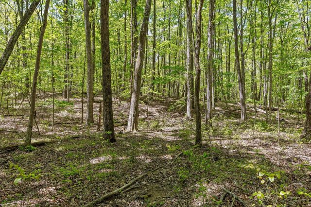 0 Deepwoods Road, Sewanee, TN 37375