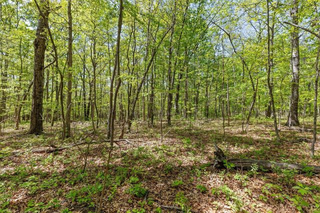 0 Deepwoods Road, Sewanee, TN 37375