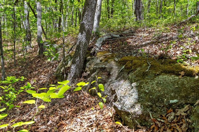 0 Deepwoods Road, Sewanee, TN 37375