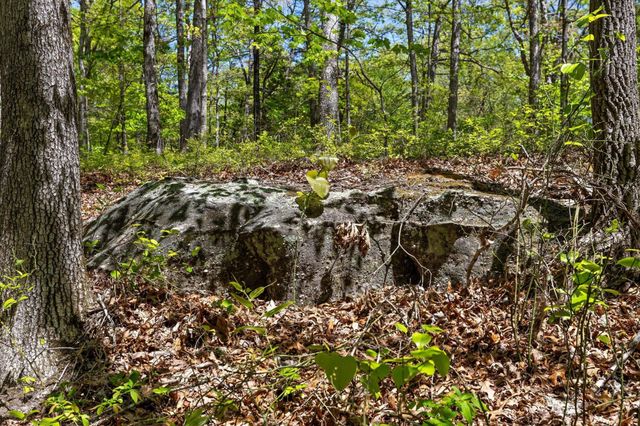 0 Deepwoods Road, Sewanee, TN 37375