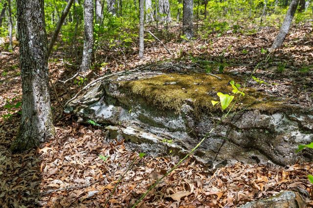 0 Deepwoods Road, Sewanee, TN 37375