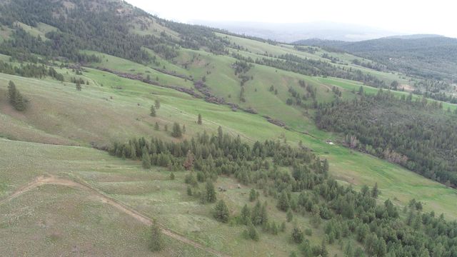 XXX Egypt Loop Rd. E., Davenport, WA 99122 property photo