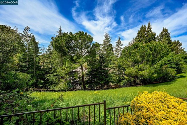 715 Blue Spruce Dr, Danville, CA 94506