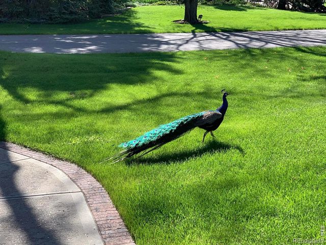 1405 Wimbledon Court, Fort Collins, CO 80524