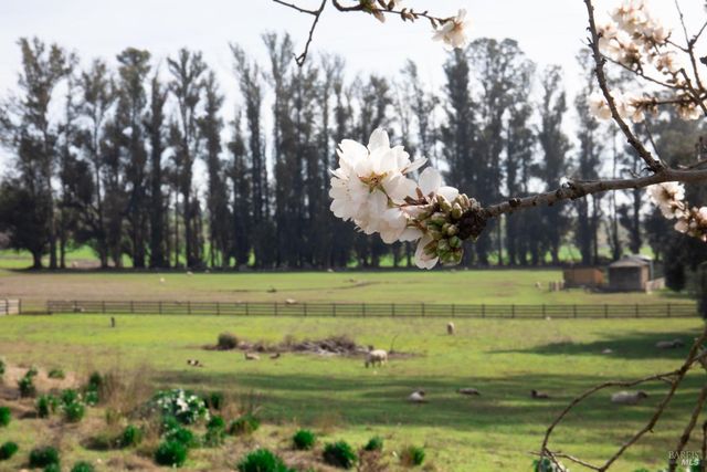 5215 Lakeville Hwy, Petaluma, CA 94954