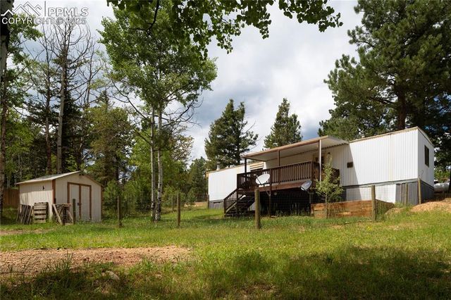 310 Blossom Road, Woodland Park, CO 80863