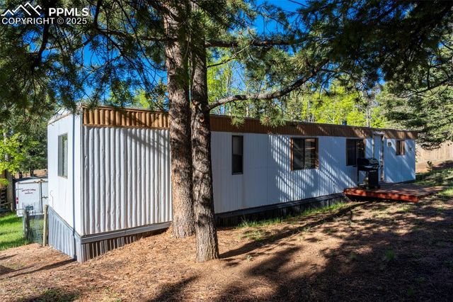 310 Blossom Road, Woodland Park, CO 80863