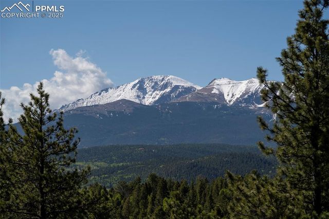 310 Blossom Road, Woodland Park, CO 80863