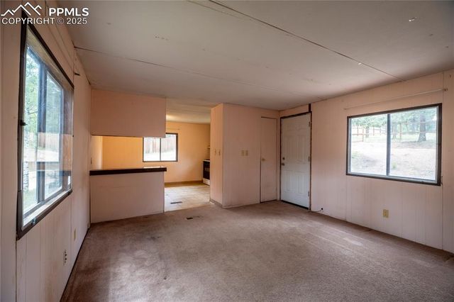 310 Blossom Road, Woodland Park, CO 80863