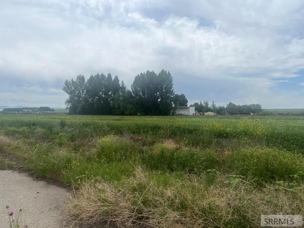 62 acres N 16th E, Sugar City, ID 83448