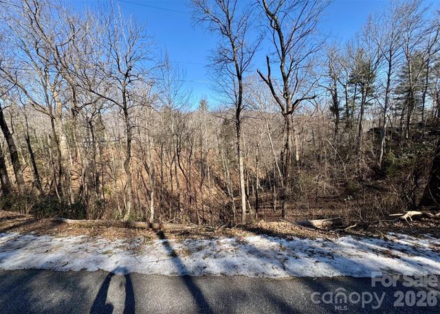42 Asa Gray Drive, Lake Lure, NC 28720