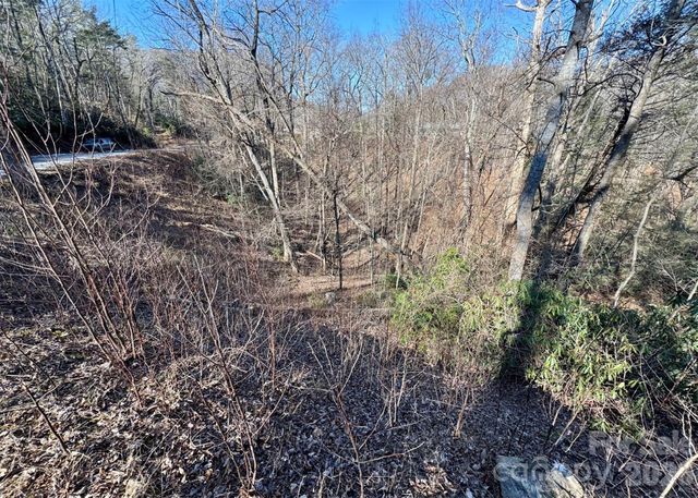 42 Asa Gray Drive, Lake Lure, NC 28720