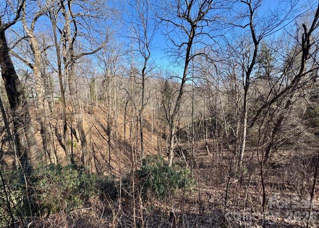 42 Asa Gray Drive, Lake Lure, NC 28720