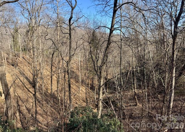 42 Asa Gray Drive, Lake Lure, NC 28720