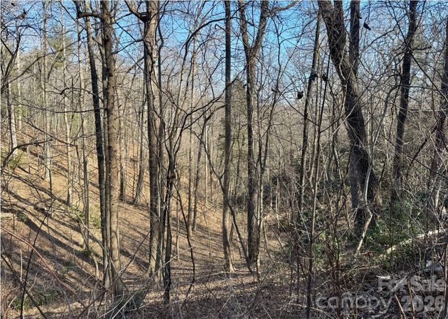 42 Asa Gray Drive, Lake Lure, NC 28720