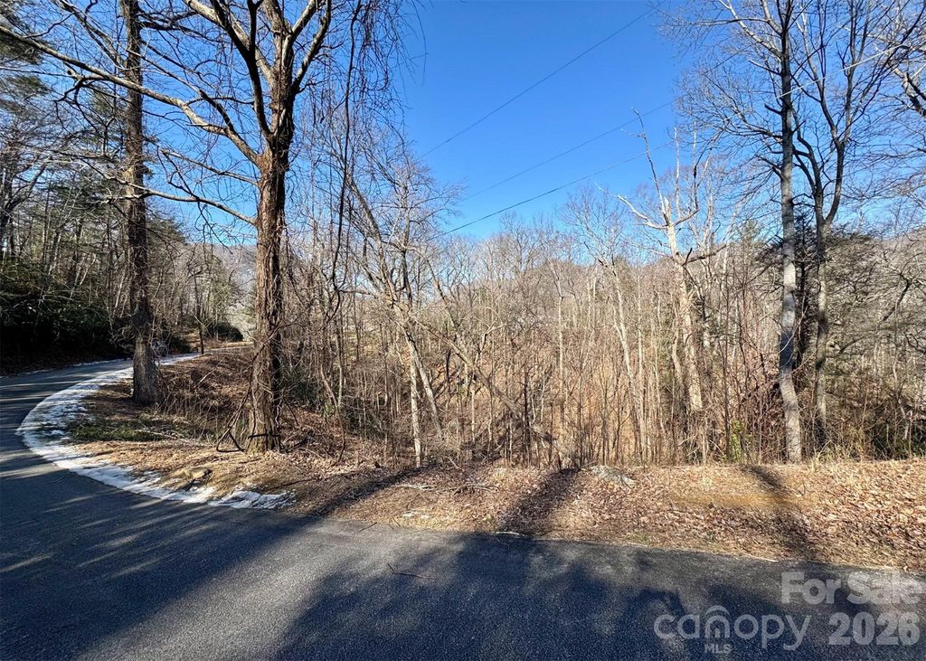 42 Asa Gray Drive, Lake Lure, NC 28720
