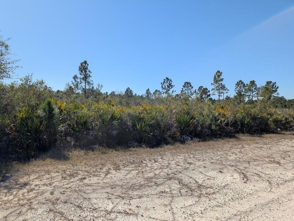 Image 4 of property listing at 503 ALBA DRIVE, Indian Lake Estates, FL 33855