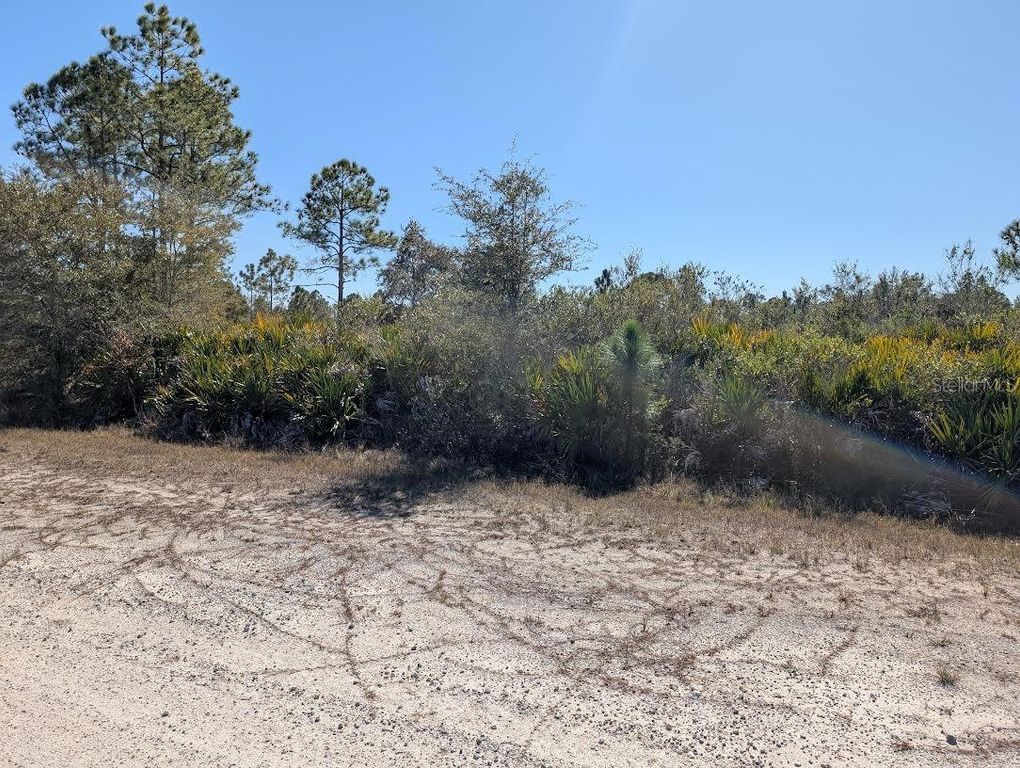 Image 5 of property listing at 503 ALBA DRIVE, Indian Lake Estates, FL 33855