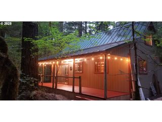 Cabin 177 Northwoods, Cougar, WA 98616