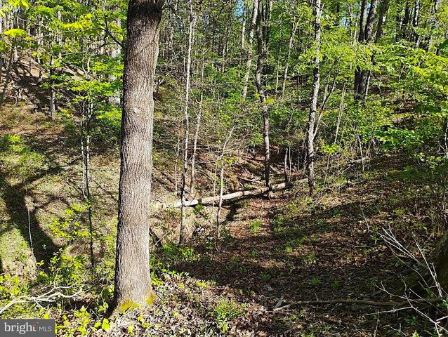 187 SUNNY MEADOW PL, Berkeley Springs, WV 25411