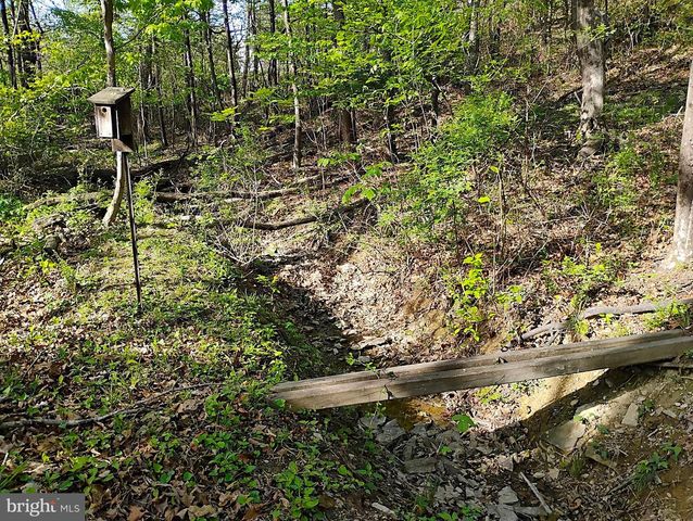 187 SUNNY MEADOW PL, Berkeley Springs, WV 25411