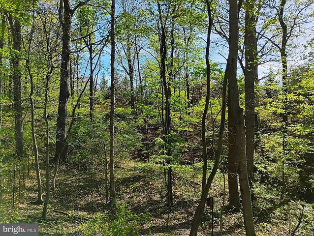 187 SUNNY MEADOW PL, Berkeley Springs, WV 25411
