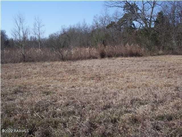 Tbd E Admiral Doyle Drive, New Iberia, LA 70560