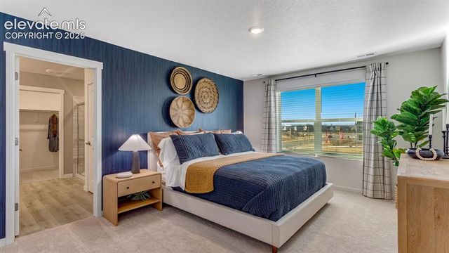 11719 Foraker Lane, Colorado Springs, CO 80925