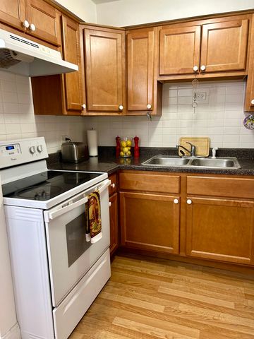 315 Des Plaines Avenue 406, Forest Park, IL 60130