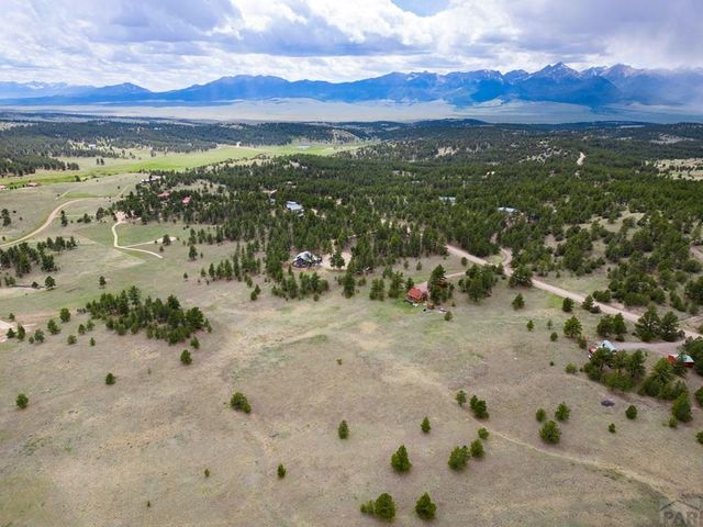 2793 Black Fawn Ln, Westcliffe, CO 81252