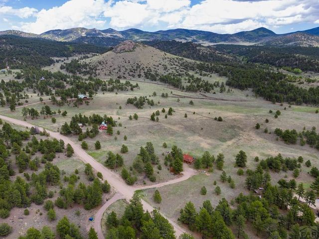 2793 Black Fawn Ln, Westcliffe, CO 81252