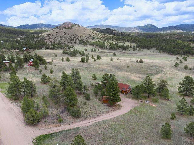 2793 Black Fawn Ln, Westcliffe, CO 81252
