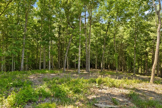 Lot 4 Ridge Drive, Morganton, GA 30560