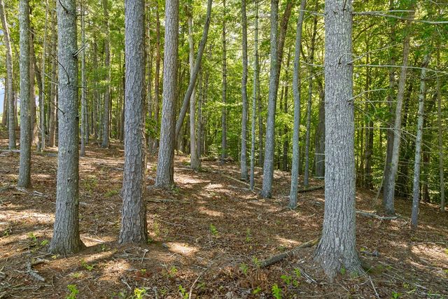 Lot 4 Ridge Drive, Morganton, GA 30560