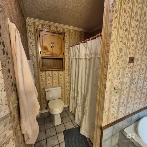 110 Cottonwood Drive, Evergreen, AL 36401