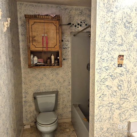 110 Cottonwood Drive, Evergreen, AL 36401