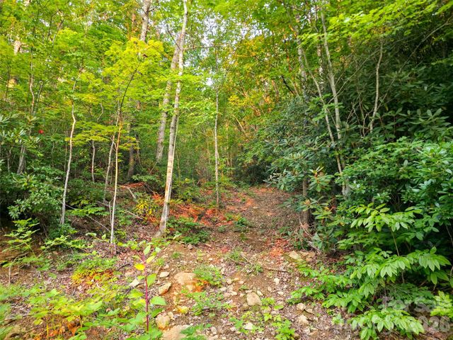 B1-B4 Anglers Ridge, Waynesville, NC 28786