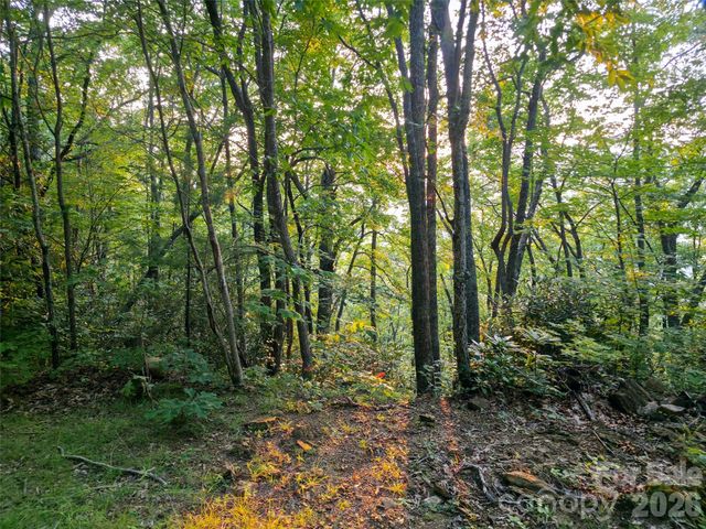 B1-B4 Anglers Ridge, Waynesville, NC 28786