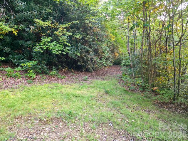 B1-B4 Anglers Ridge, Waynesville, NC 28786