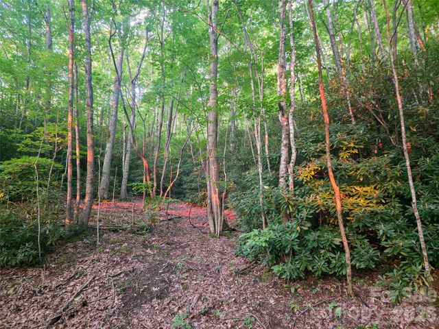B1-B4 Anglers Ridge, Waynesville, NC 28786