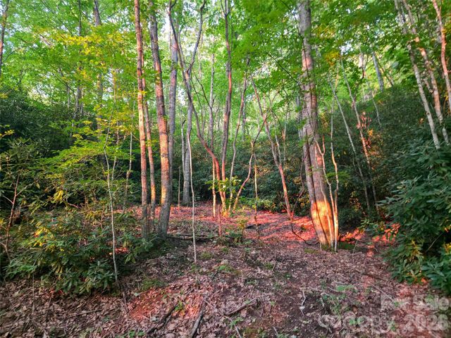 B1-B4 Anglers Ridge, Waynesville, NC 28786