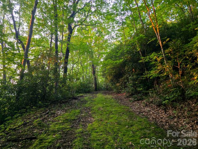 B1-B4 Anglers Ridge, Waynesville, NC 28786