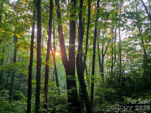 B1-B4 Anglers Ridge, Waynesville, NC 28786
