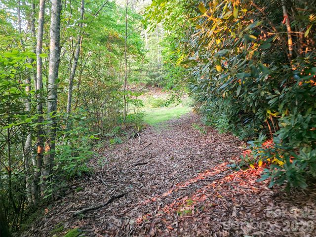 B1-B4 Anglers Ridge, Waynesville, NC 28786