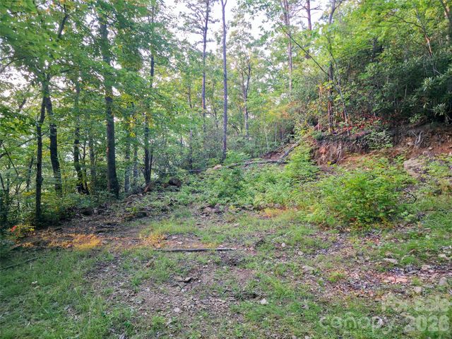 B1-B4 Anglers Ridge, Waynesville, NC 28786