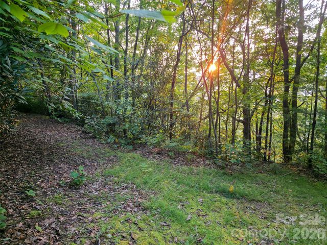 B1-B4 Anglers Ridge, Waynesville, NC 28786