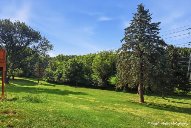167 Burning Bush Trail, Crystal Lake, IL 60012